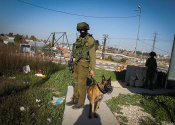 An Israeli soldier stands guard with his dog at Gush Etzion junction, an area which has been hit by several terror attacks recently, February 26, 2016. Photo by Gershon Elinson/Flash90 *** Local Caption *** ???? ????
????
??????
????
???